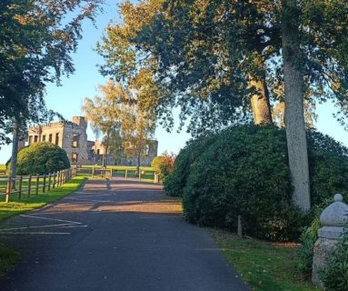 Randos 61 : Le Mont de Cerisy par la vallée du Noireau